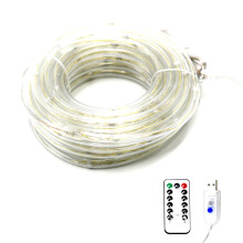 Flexible LED Rope Lights, 33ft 100 LED String Lights, USB Powered for Eco-Friendly Decoration