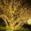 LED Christmas Tree Lights with Dimmable Function, Indoor Outdoor Christmas Decorations, Warm White LED String Lights with 8 Lighting Modes, Timer Func 5
