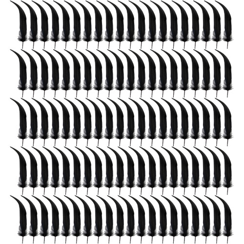 Décoration de plumes noires, 100 pièces, pour- Queue noire