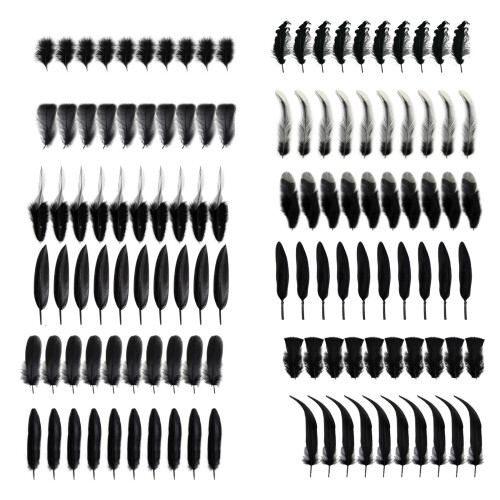 Décoration de plumes noires, 100 pièces, pour- Queue noire 2