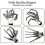 Articulated Fingers , Flexible Joint Skeleton Hands,3d Printed Finger 2