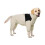 Manteaux imperméables réfléchissants pour chiens,-Blanc XL 7