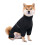 Combinaisons imperméables pour animaux de compagnie,-Noir 2XL 1