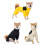 Combinaisons imperméables pour animaux de compagnie,-Noir 2XL 2