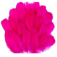 Colorful Feathered Accessory For Crafts Perfect For-rose red