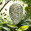 Artificial Hornet Nest Repellents Moisture Resistant Hanging 7