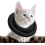 Adjustable Cat Cone Collar Padded With Soft Polyester For After Surgery To Anti Lick 1