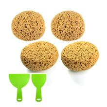 Four types of sponges are included: open-pore seaweed foam, palm-shaped hemispherical bath cleaning sponge, and texture repair sponge.