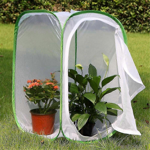 2er-Pack Insekten- und Schmetterlingskäfig 1