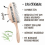 4er-Pack Bio-Haarbürsten mit Strohborsten, klimaneutral, ziepsfrei, entwirrt Haar. 2