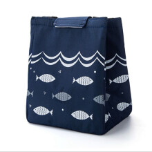 Lekvrije koeltas, felgekleurde, multifunctionele, herbruikbare lunchtas voor school en stranduitjes (lichtgewicht)