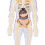 Modèle du corps humain 28,5  10 cm ABS, Interactif 12