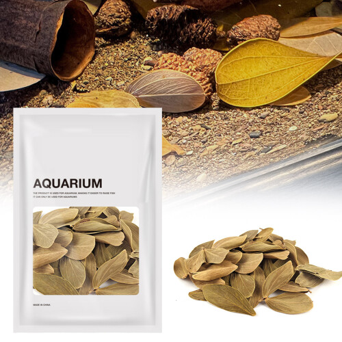 Durability Cabomba Leaves Multipurpose Professional Decoration 1