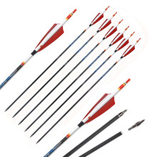Pack of 6 Archery Arrows Spine 250 300 350 400 500 600 700 800 ID 6.2 mm Hunting Arrows with Red Stripes (Spine 250, 31 Inches)
