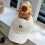 Embroidered 3D Plush Capybara Baseball Hat for-Pink child 7