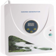 2025 600 mg/h Ozongenerator – Digitaler Sterilisator für Wasser, Lebensmittel und Hydrokultur