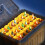 Köderbox  Fishing Bait Box Organizer, Gear Tray with Dividers 4