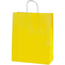 Sacs cadeaux en papier recyclé avec poignées, un choix écologique pour de multiples occasions, robustes et durables pour les cadeaux d'invités et