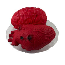 Horror Themed Organ Display, Scary Decoration with Fine Production Process and Realistic Red Color, Simulation Heart Prop for Haunted Houses and Hallo