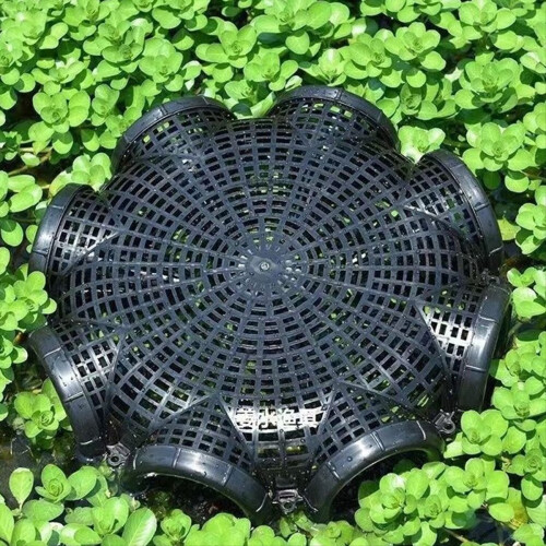 Folding Crayfish Catcher Casting Fish Network Crab Shrimp Smelt Traps 2