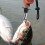 Fish Hook Remover Tools,Handheld Digital Scale Squeeze-Out Gripper Fis 3