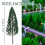 10Pcs Pine Trees 1:25 Model Train Railway Building Green Tree for O G 6