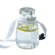 Stilvoll hydratisieren: Auslaufsichere Wasserflasche für Outdoor-Fans, integriertes Design mit Doppelstrohhalm, gesundes, lebensmittelechtes
