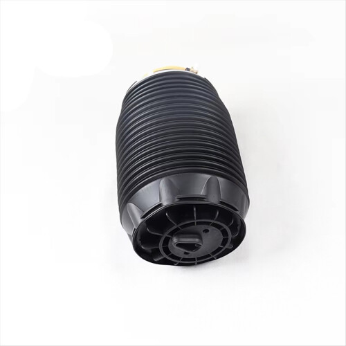 Rear Air for QUORIS 2011-2016 Right 553603M501 2