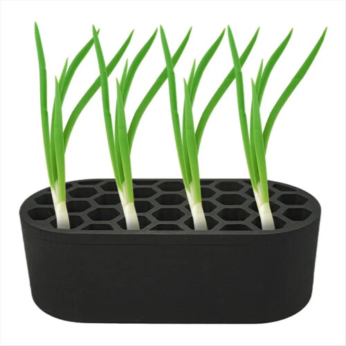 Scallion Planter SeedlingStarter Trays Regenerator System Growing Hydr 1
