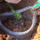 Plant Root Guard Baskets 6 Pcs Wire Basket Cages Underground Stainless 4