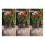 Plant Root Guard Baskets 6 Pcs Wire Basket Cages Underground Stainless 5