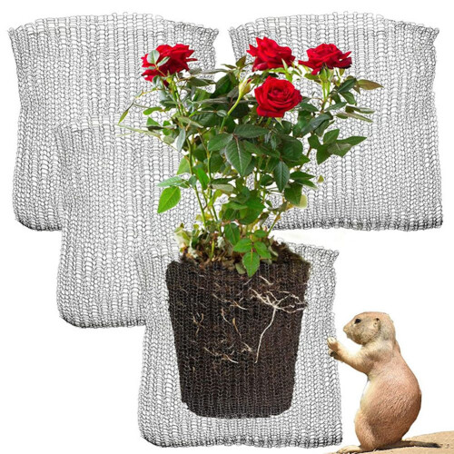 Plant Root Guard Baskets 6 Pcs Wire Basket Cages Underground Stainless 2