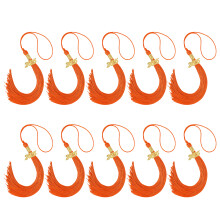 Set van 10 kwastjes voor afstudeerpetten met elegante-Oranje