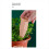 Terracotta Watering Spikes 12 Pack Plant Devices Wine Bottle Automatic 6