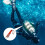 Reef Drift Hook  Double Hook Stainless Steel for Cave and Current Diving 2