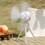 Ceiling fan for tent, with light, batterypowered, USB, remote control – 7200 mAh 2