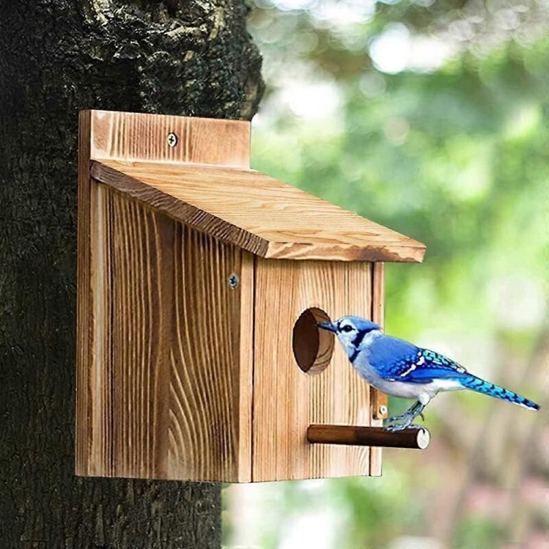 Sitemapcdatahttpsmodeinf Inetcomartisanal Nichoir Oiseaux Original