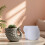 High Temperature Resistant Silicone Mould for Succulent Planter 6