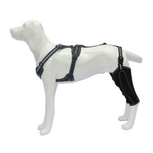 Le support de jambe de chien empêche le léchage au chaud et-L