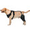 Le support de jambe de chien empêche le léchage au chaud et-L 2