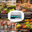 ACS-30 40kg/5g Digital Price Computing Scale for Vegetable 5
