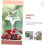 3 Pieces Automatic Watering Stakes for Plants Bulbs Pots Watering Spikes Automatic Watering Devices Automatic Watering Systems 4