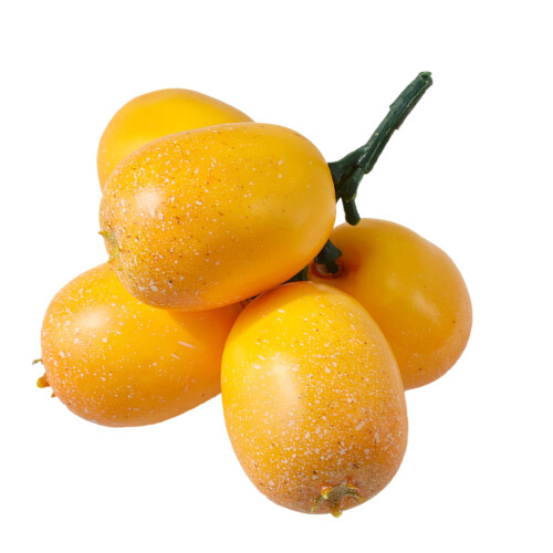Kunstmatig fruitmodel Gesimuleerd Loquat-fruitmodel-5 vorken