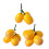 Kunstmatig fruitmodel Gesimuleerd Loquat-fruitmodel-3 vorken 2
