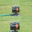 Oscillating Sprinkler Adjustable Large Coverage Lawn 16 Holes Watering 4