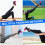 Dumbbell Foot Attachment Ankle Straps for Leg Exercise and Training 3