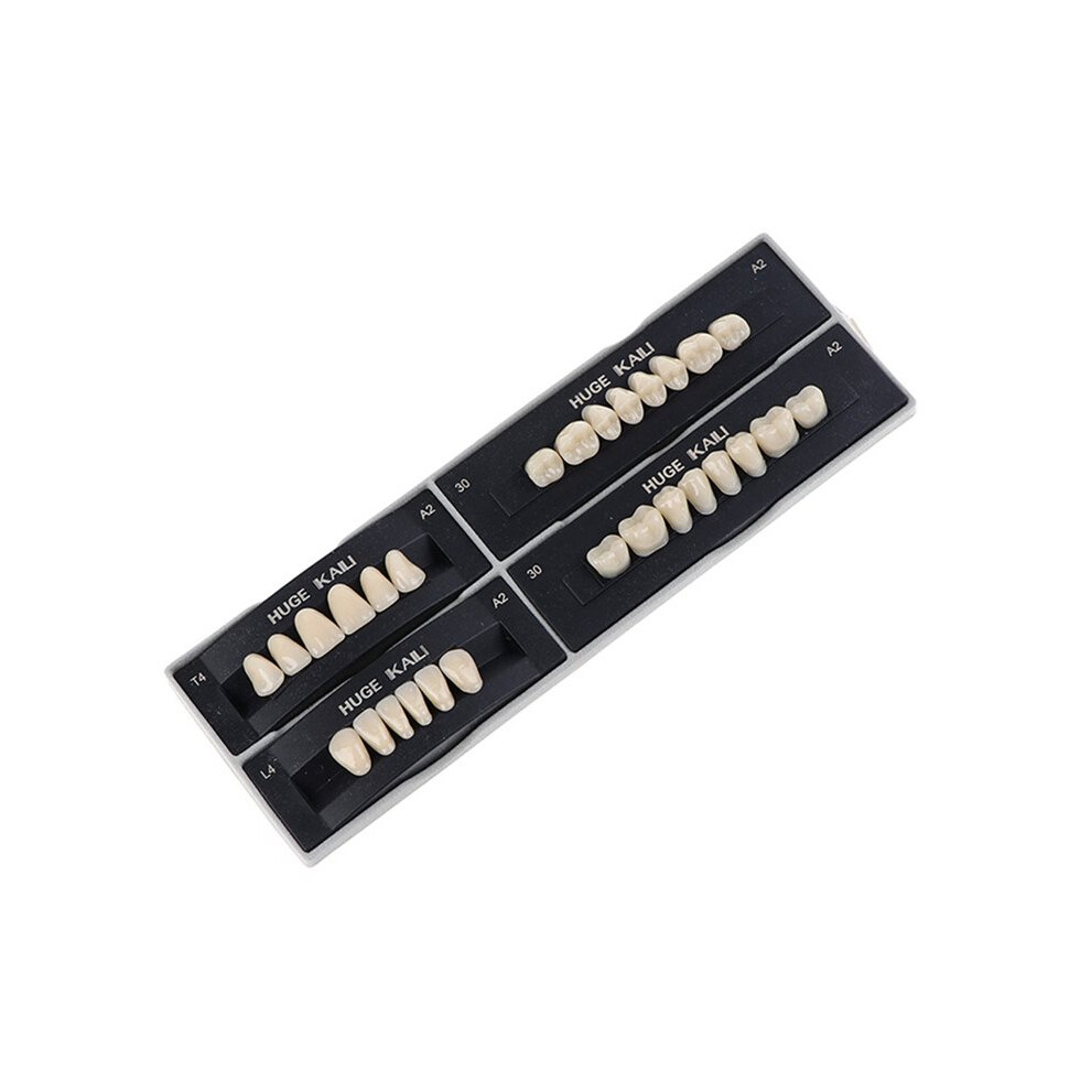 Dental Materials Synthetic Resin Teeth Plastic Steel Full Dentures Artificial Preformed Denture Teeth Dental Tools