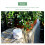 Wifi Automatic Drip Irrigation Controller Garden Plant Smart Water Pum 3