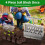 Soil Blocker, Block Maker for Seed Starting with Strong Hand Held, Blo 6