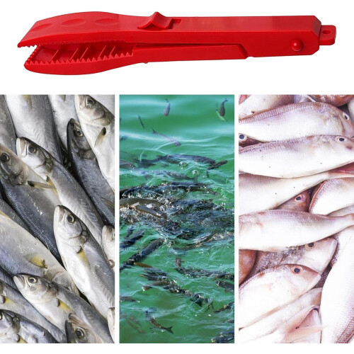 fish gripper claw for perch, trout, pike, catfish 2